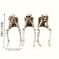 CryptSkulls | Trio de cranii 3D din rășină - Set de decorațiuni de Halloween cu figuri de fantome