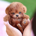 Interactive puppy toy with realistic movement